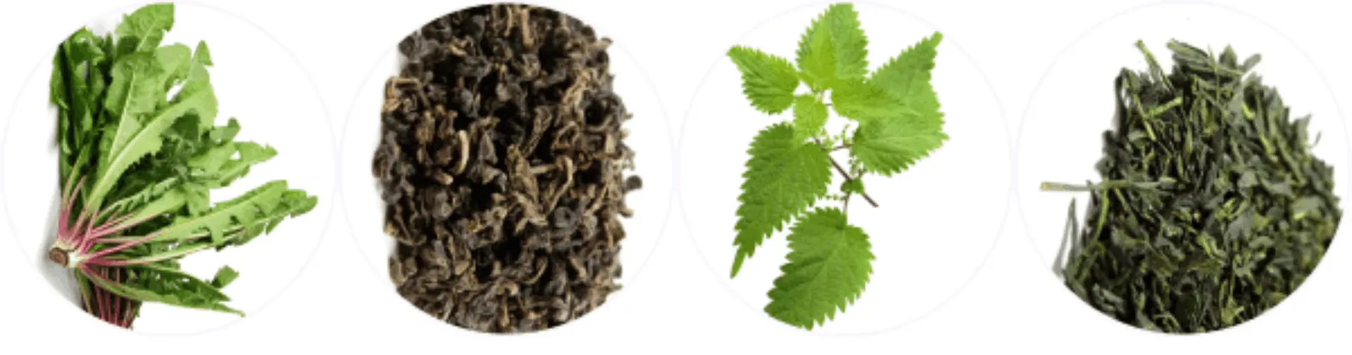 Benefits of lulutox detox tea